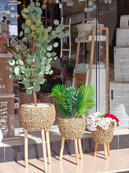 Cache pot osier pieds bois