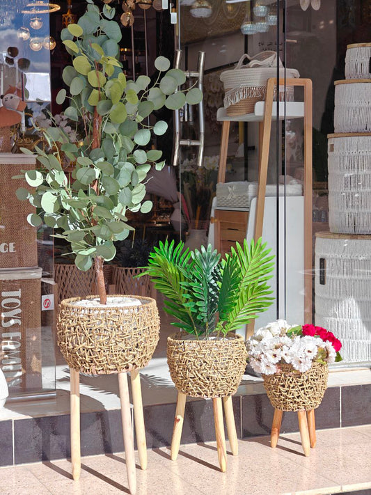 Cache pot osier pieds bois