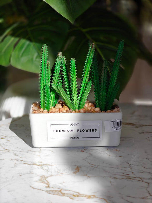 Plante artificielle rectangulaire