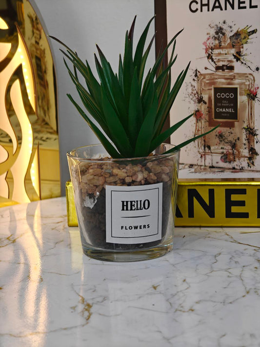 Plante art pot transparent