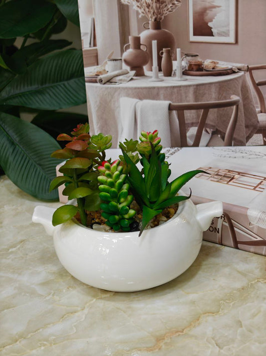 Plante art pot blanc 001