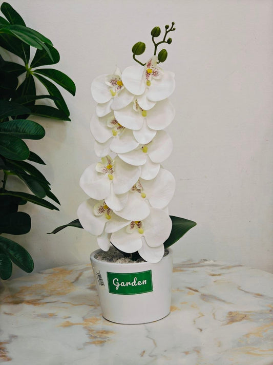Plante artificielle nv1
