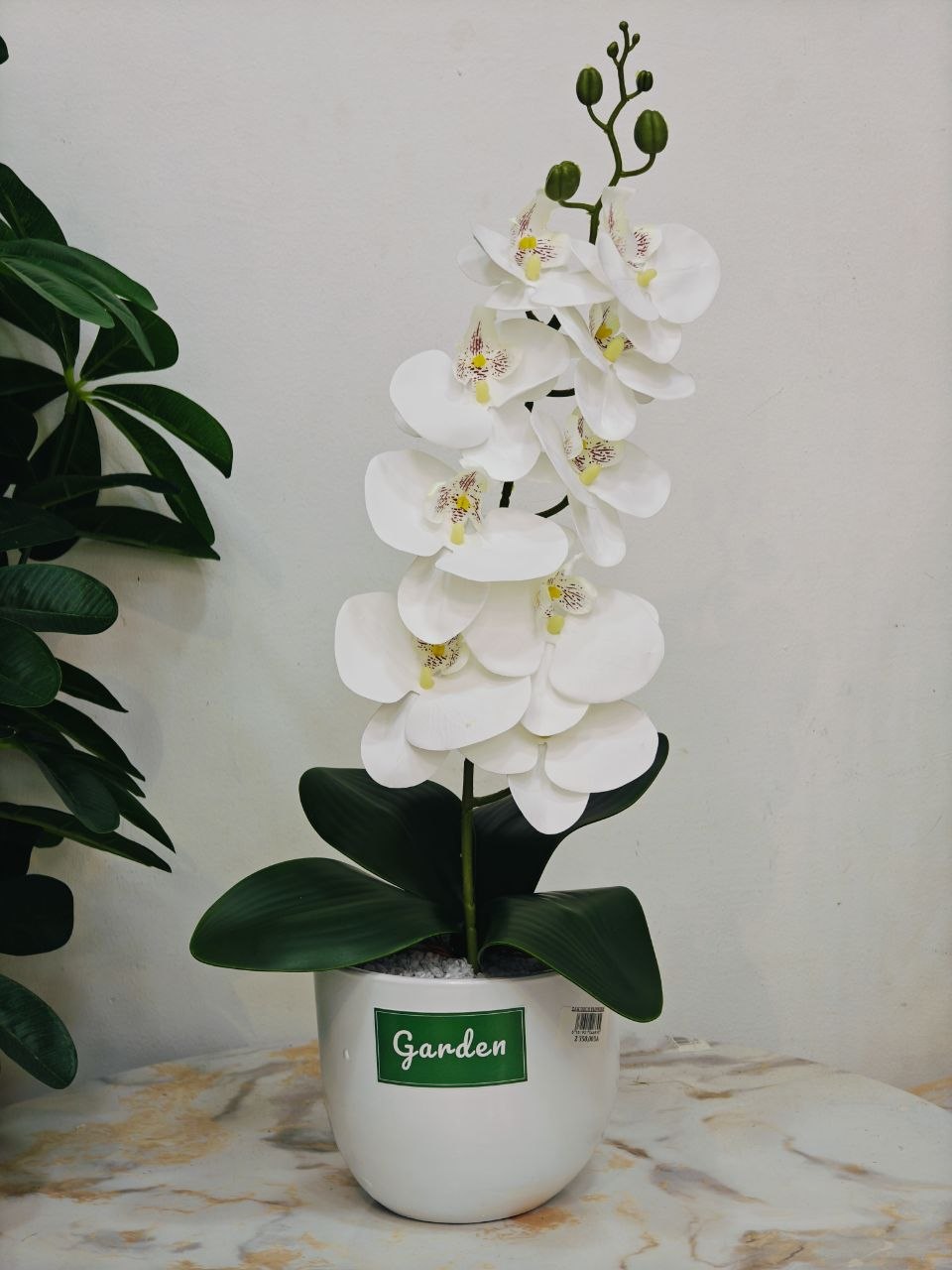 Plante artificielle nv1