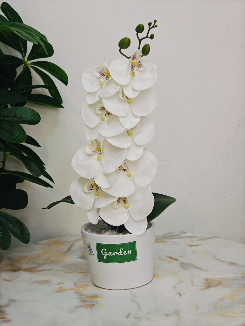 Plante artificielle nv1