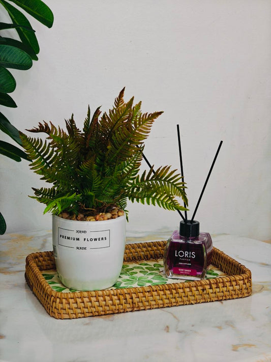 Plante art nv3
