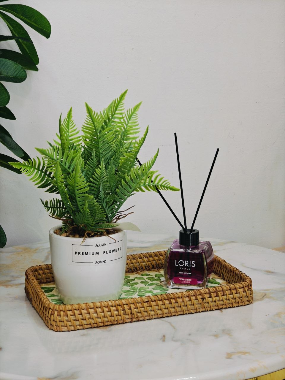 Plante art nv3