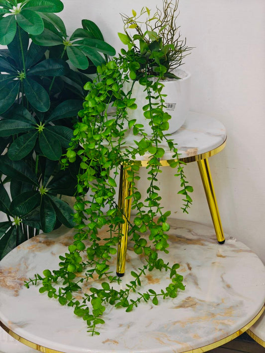 Plante art