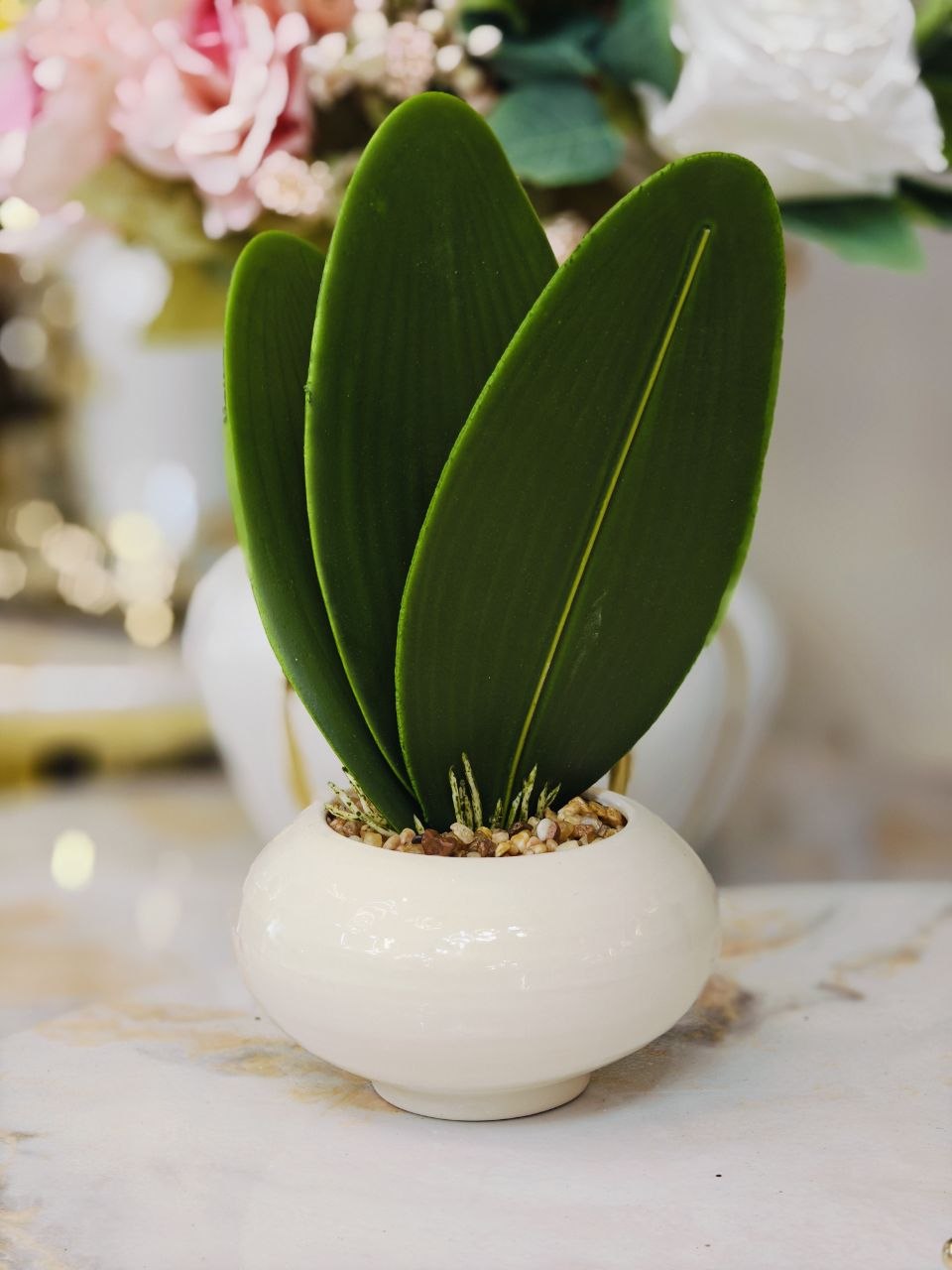 Plante art