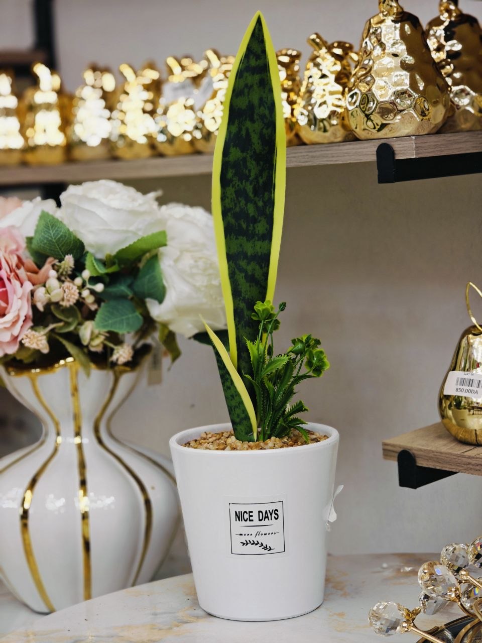 Plante art nv04