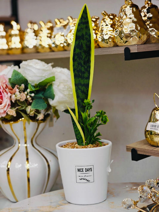 Plante art nv04