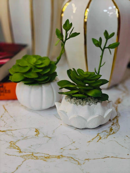 Plante art petit modèle