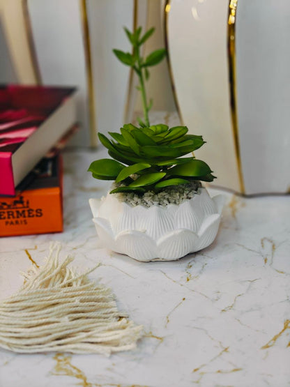 Plante art petit modèle