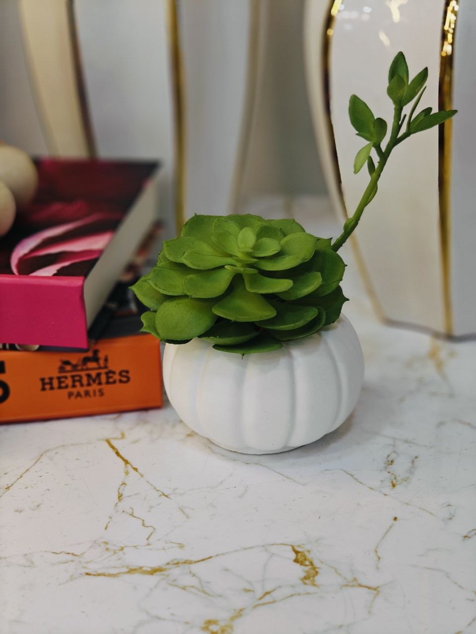 Plante art petit modèle