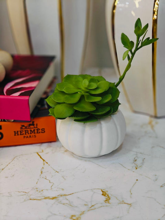 Plante art petit modèle