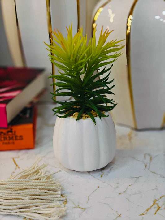 Plante artificielle nv