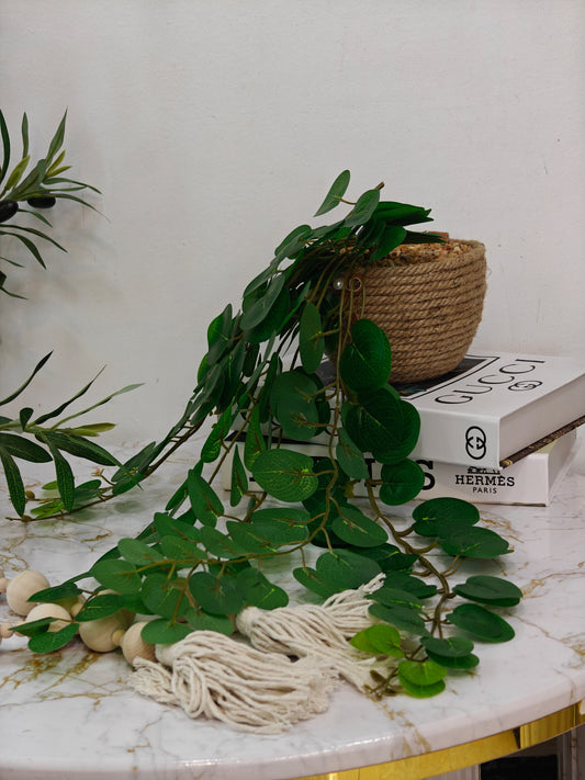 Plante artificielle mnv1