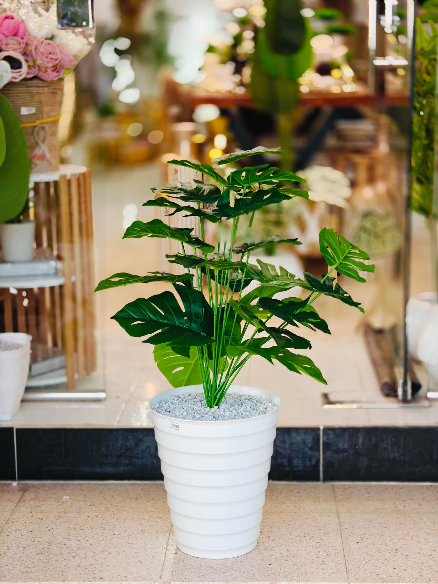 Plante 95 cm