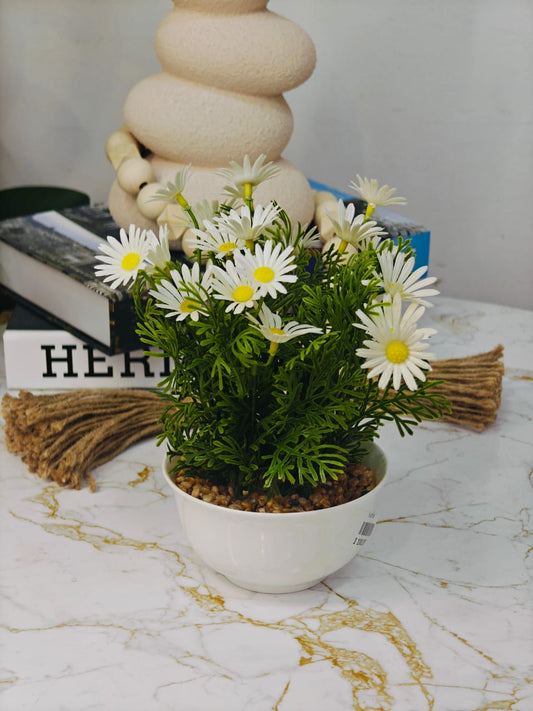 Plante a fleurs blanc