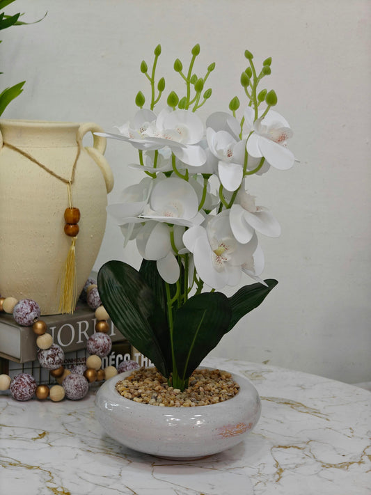 Plante art