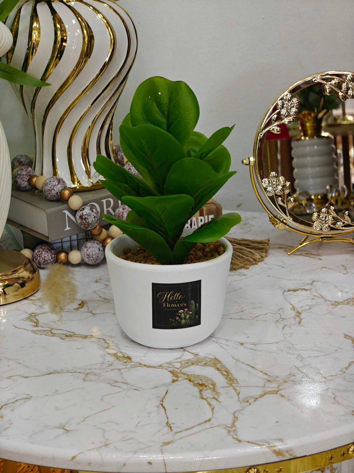 Plante art nv34