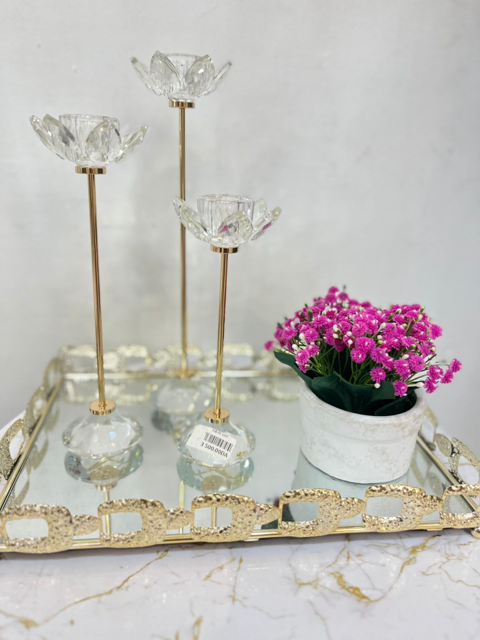 Plante a fleurs
