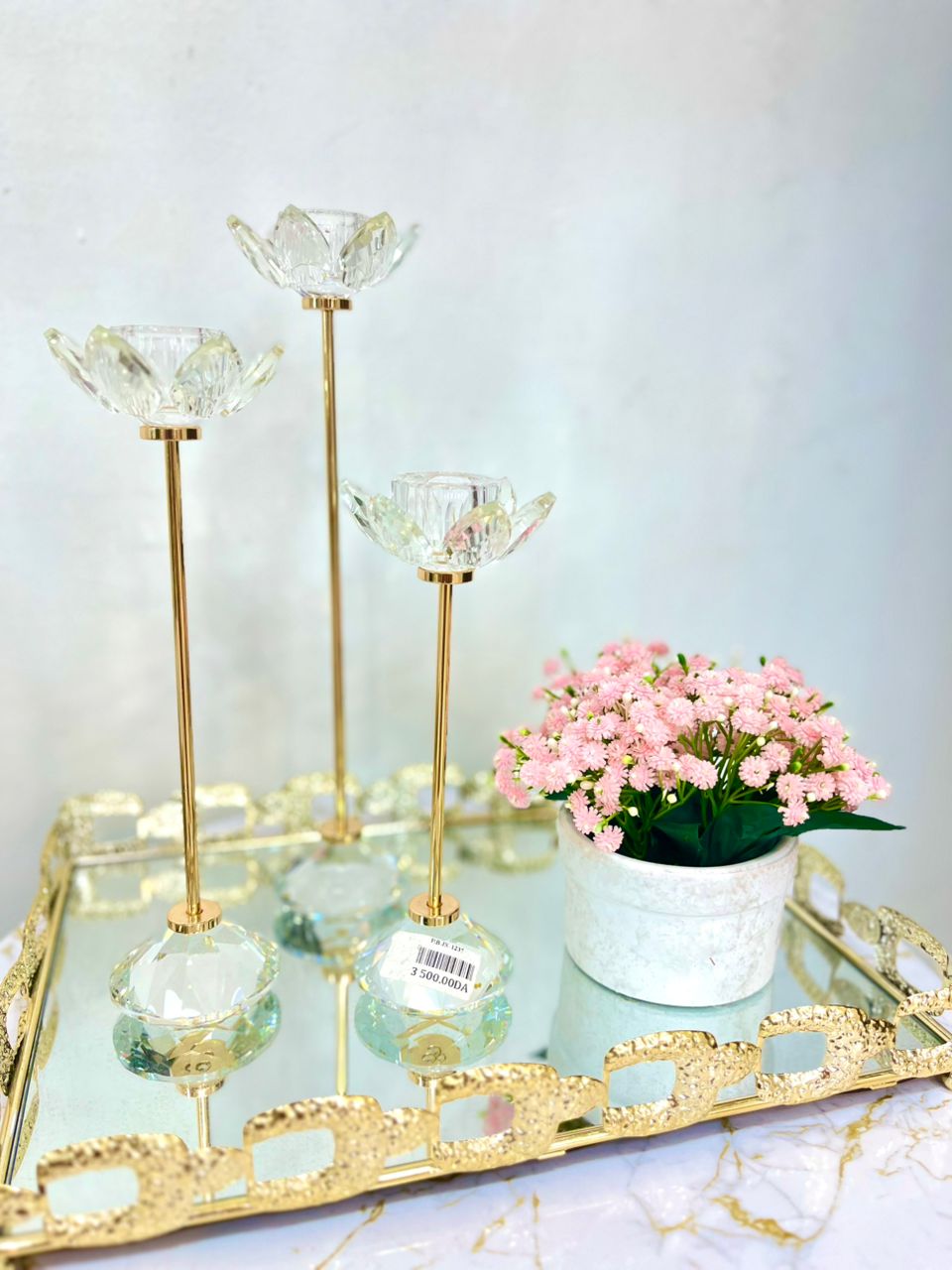 Plante a fleurs