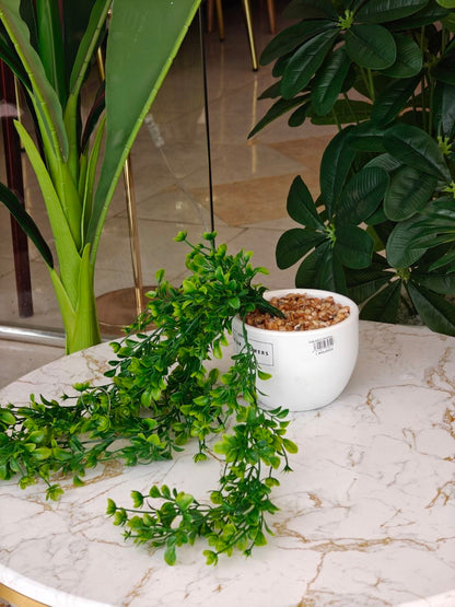 Plante art