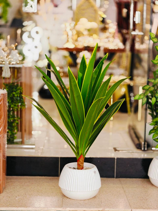 Plante art m09