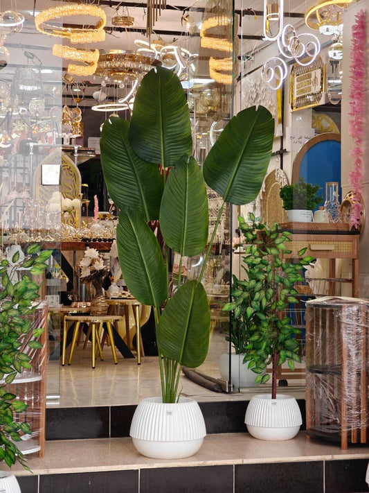Plante art 1.90 m