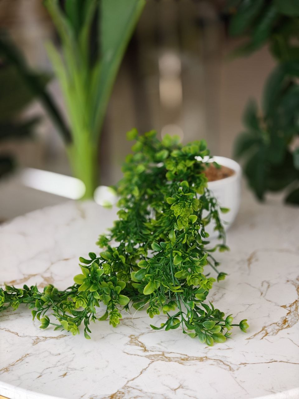 Plante art