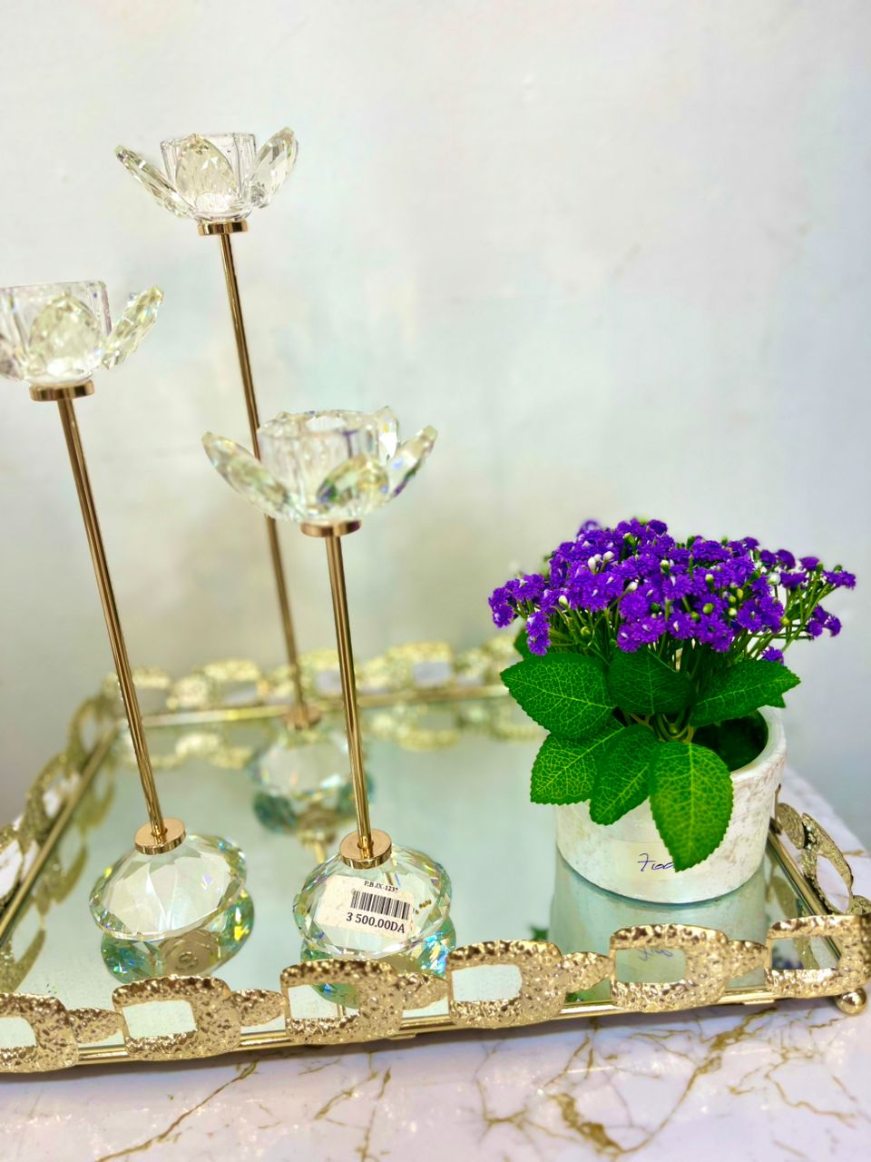 Plante a fleurs
